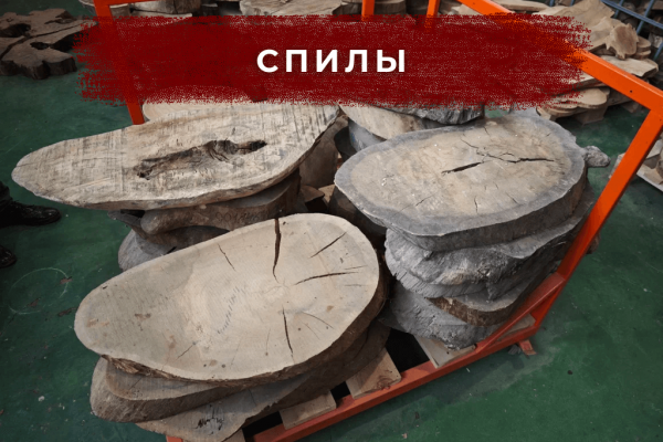 Спилы