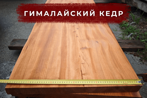 Целебный аромат, природный антисептик. Идеален для бань и интерьерного декора.