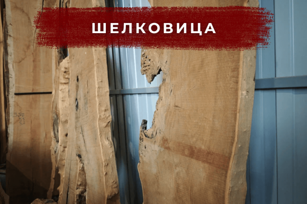 Плотная древесина с золотисто-медовым оттенком.