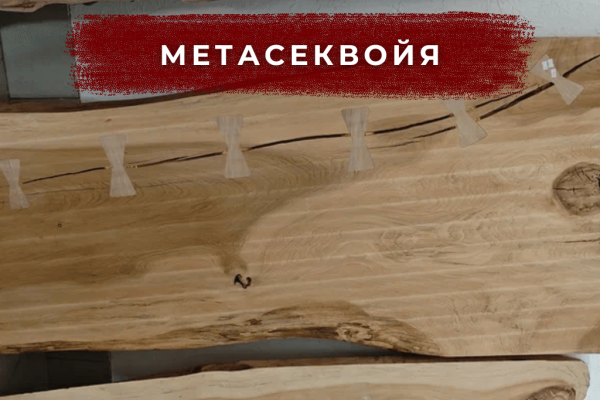 Мягкие переливы цвета, живое ископаемое.