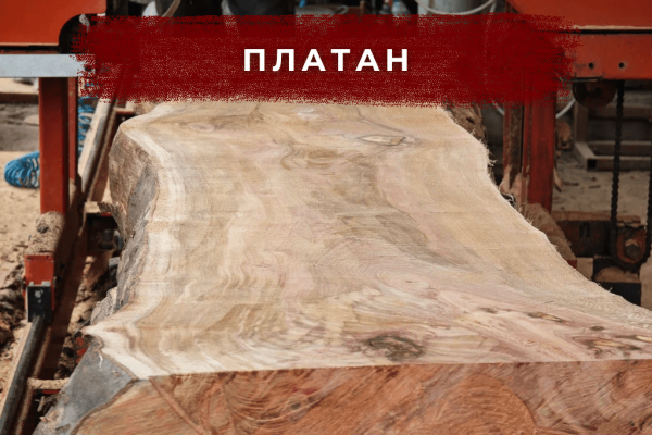 Ввыразительный рисунок, стабилен при сушке.